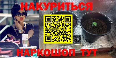 прущие грибы Абакан