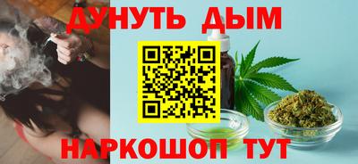прущие грибы Абакан