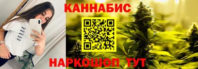 прущие грибы Абакан